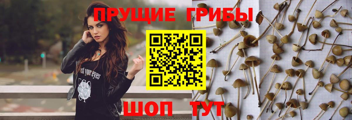 Галлюциногенные грибы ЛСД  Вход с VPN  Магнитогорск  Галлюциногенные грибы Cubensis 